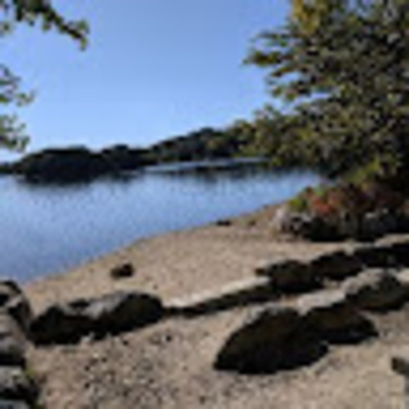 Meet your Posher, M. - Picture 1 of 1